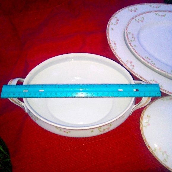 Antique O & E.G. Royal Austrian China Part 2 - Picture 6 of 10